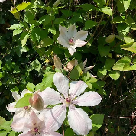 B & Buitenlust * Schagerbrug