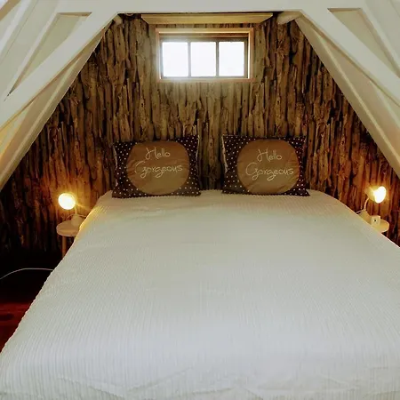 Dom wakacyjny B & Buitenlust