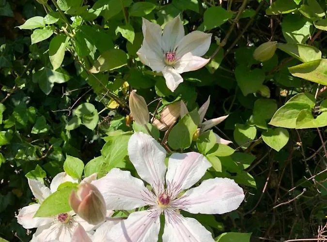 B & Buitenlust * Schagerbrug