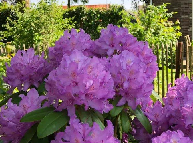 B & Buitenlust Dom wakacyjny Schagerbrug